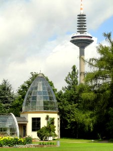 Palmengarten Frankfurt - DSC01956
