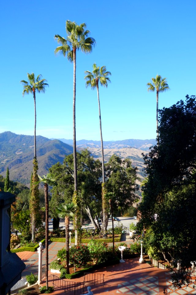 Palms - Hearst Castle - DSC06932