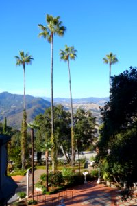 Palms - Hearst Castle - DSC06932
