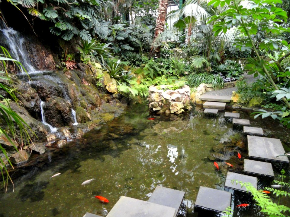 Palmengarten Frankfurt - DSC02032