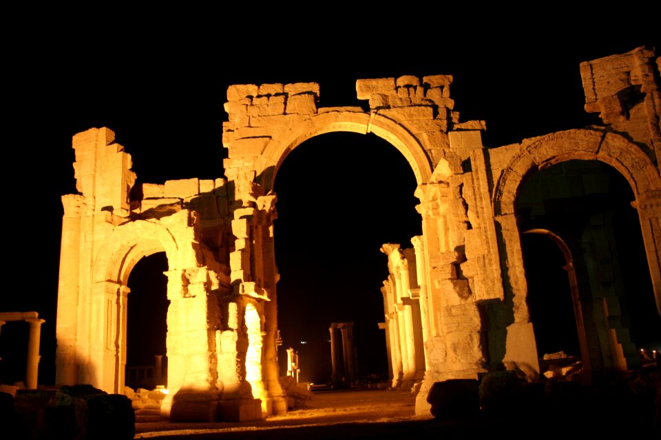 Palmyra Ark at night