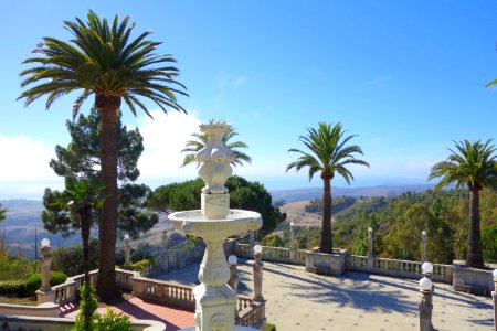 Palms - Hearst Castle - DSC06579