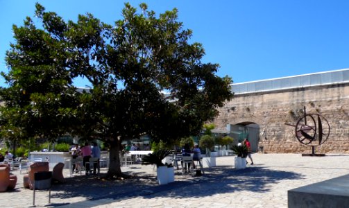 PALMA de MALLORCA, AB-185