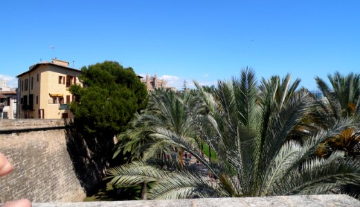PALMA de MALLORCA, AB-182