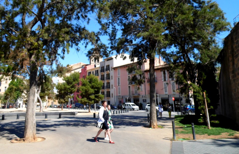 PALMA de MALLORCA, AB-175