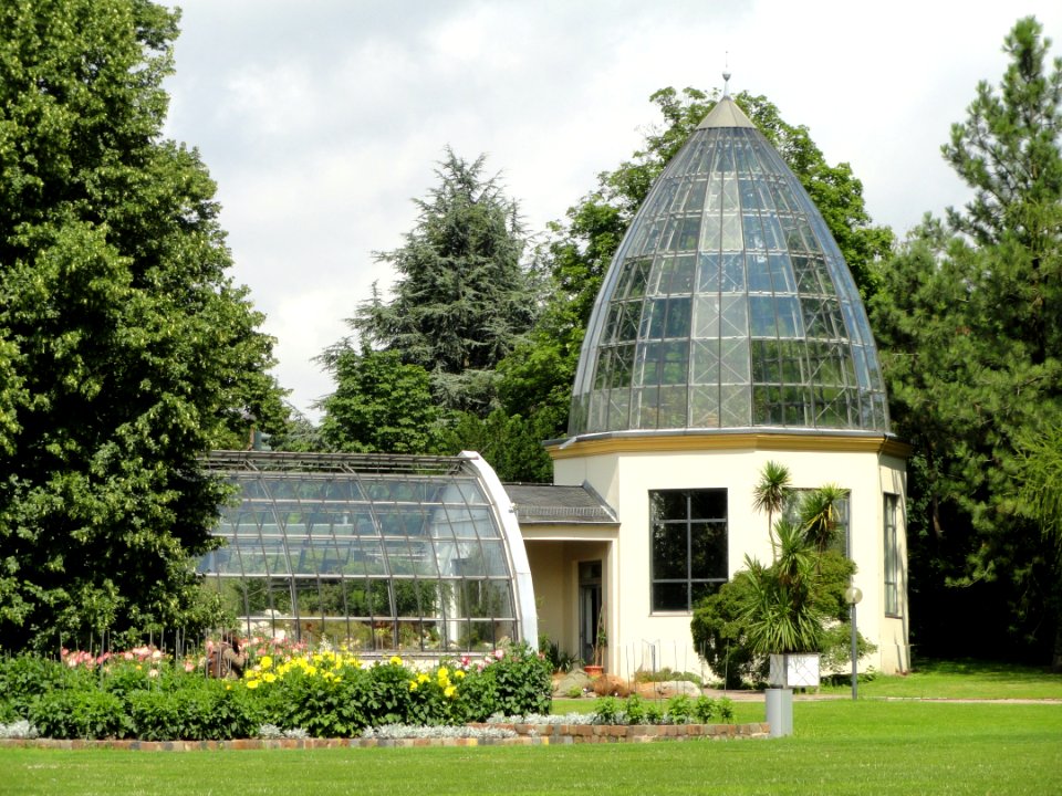 Palmengarten Frankfurt - DSC01955