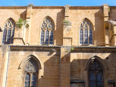 Pamplona - Catedral, exterior 15