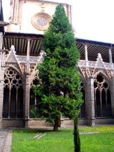 Pamplona - Catedral, Claustro 08