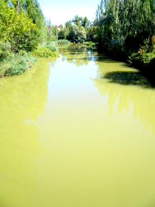 Palencia - Río Carrión 1