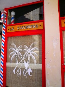 Palencia - Peluquería La Cocobongo