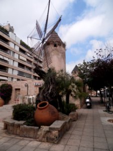 PALMA de MALLORCA, AB-198