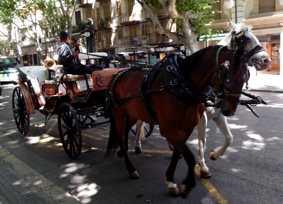 PALMA de MALLORCA, AB-147