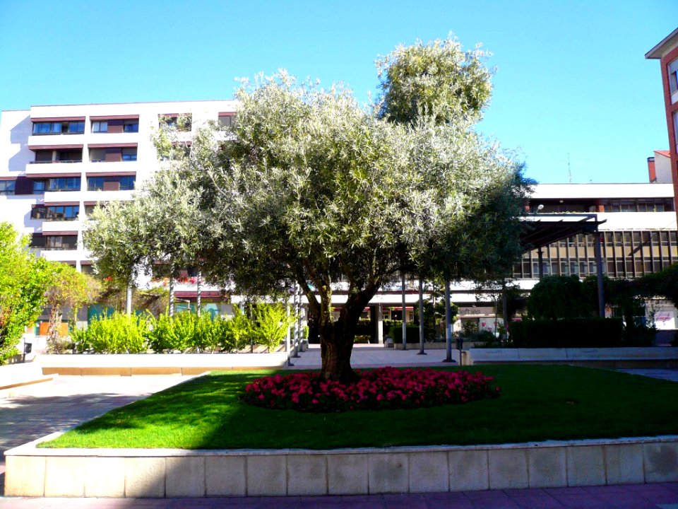 Palencia - Plaza de los Juzgados 1