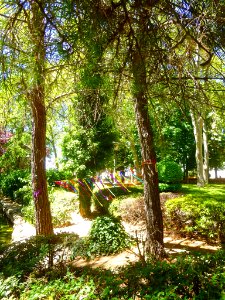Palencia - Jardinillos de la Estación 13