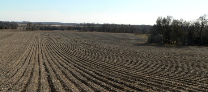 Palmer site (Merrick-Howard counties, Nebraska) (2)