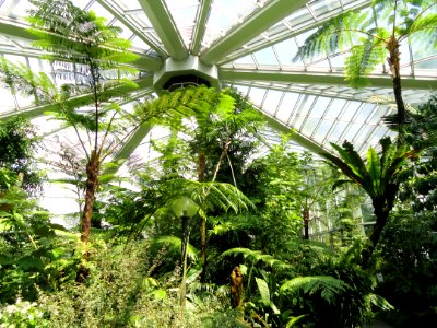 Palmengarten Frankfurt - DSC01887
