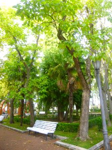 Pamplona - Parque de la Media Luna 16