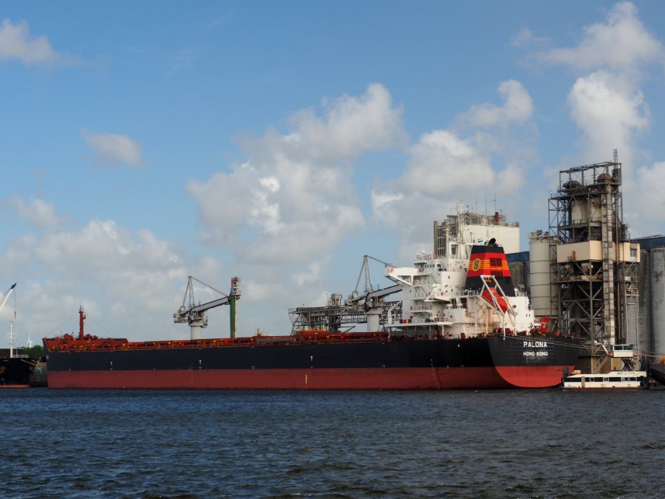 Palona (ship, 2014) IMO 9667112, Port of Amsterdam pic2