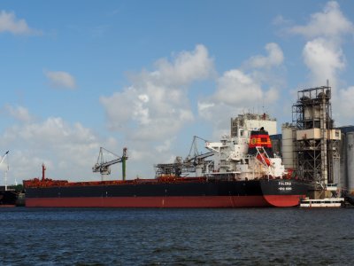 Palona (ship, 2014) IMO 9667112, Port of Amsterdam pic2