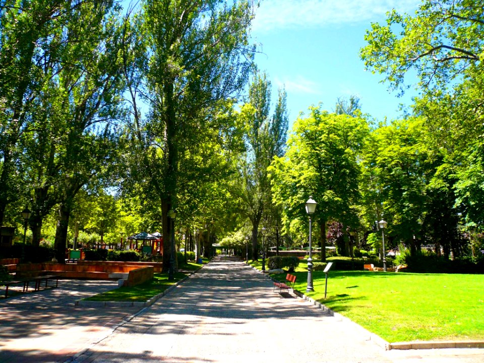 Palencia - Jardinillos de la Estación 06