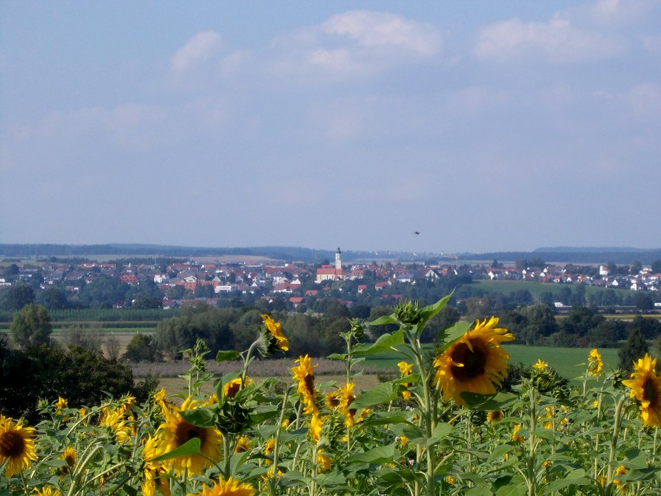 Panoramaansicht von Öpfingen von Süden aus fotografiert