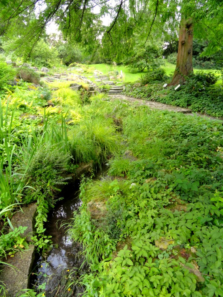 Palmengarten Frankfurt - DSC02019