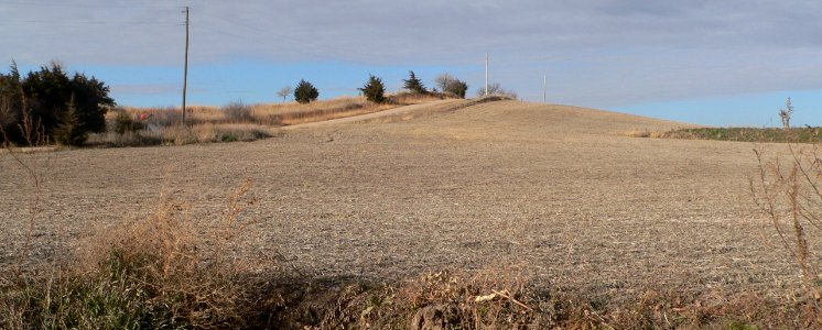 Palmer site (Merrick-Howard counties, Nebraska) (4)