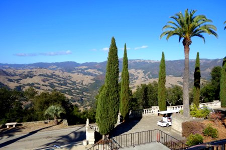 Palms - Hearst Castle - DSC06704