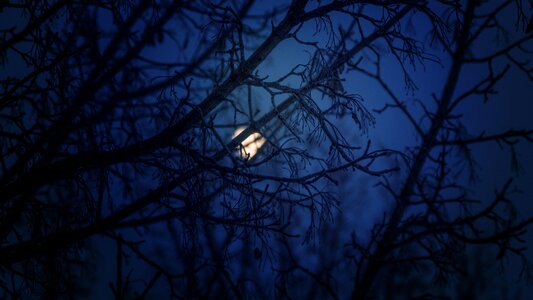 Winter moonlight starry