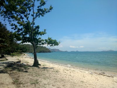 Pantai Pede florès