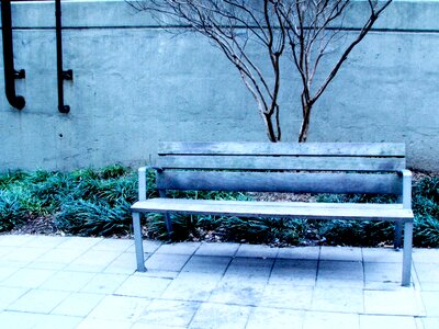 Bench city empty photo