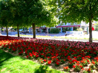 Palencia - Parque del Salón de Isabel II 02