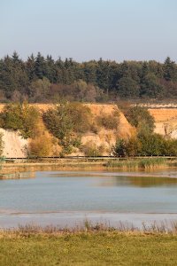 Panorama Kiesgrube bei Meckenheim-Lüftelberg (3) - Original 6
