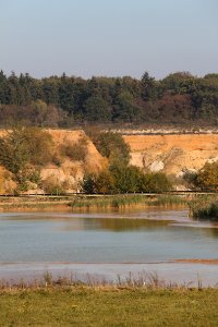 Panorama Kiesgrube bei Meckenheim-Lüftelberg (3) - Original 7