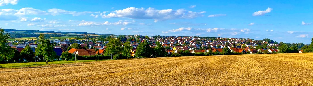 Panorama Erbach (Donau)