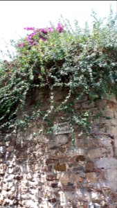 Panneau Impasse de l'Homme de Paille - Le Castellet (Var)