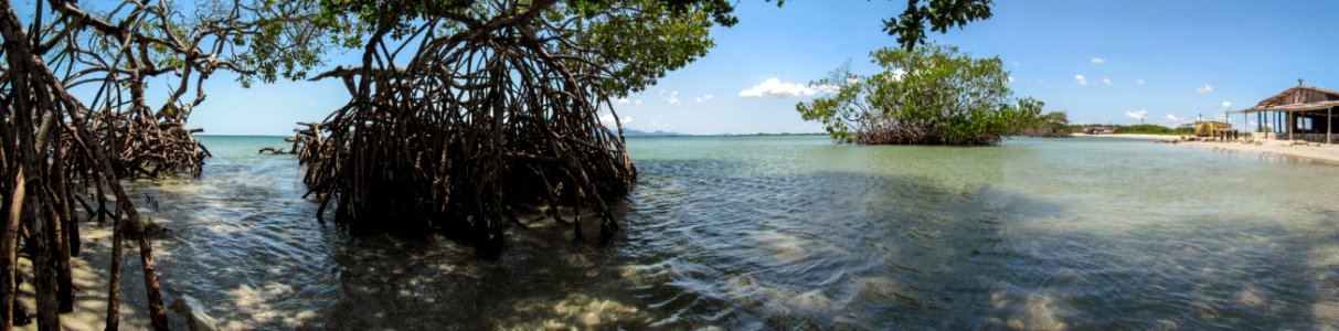 Panoramic view of Guamache Beach
