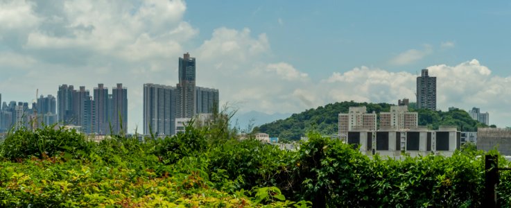Panoramic view of Hong Kong photo