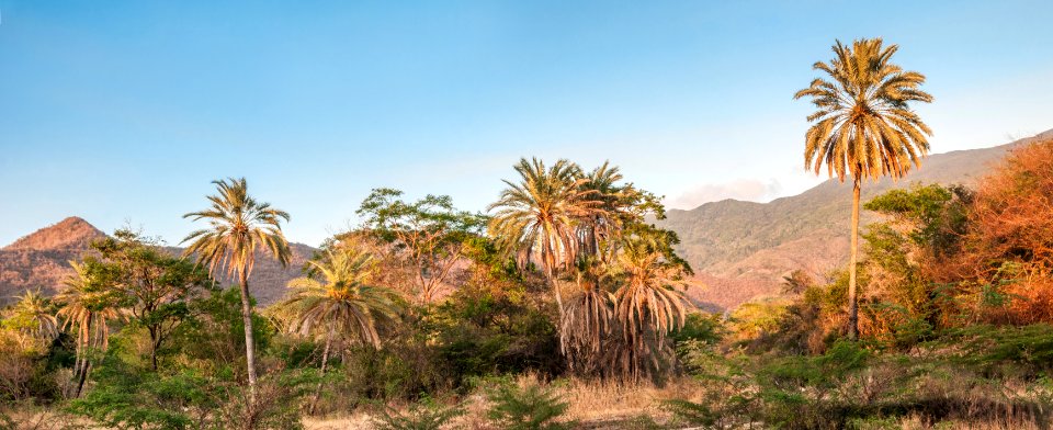 Panoramic view of San Juan Valley