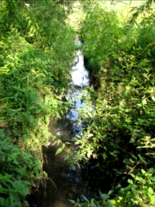 Panewniki on the river Klodnica 2011 14