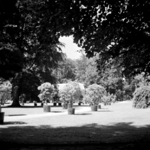 Panorama van bomen in het park van het paleis, Bestanddeelnr 255-7906