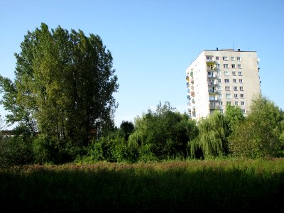 Panewniki on the river Klodnica 2011 09