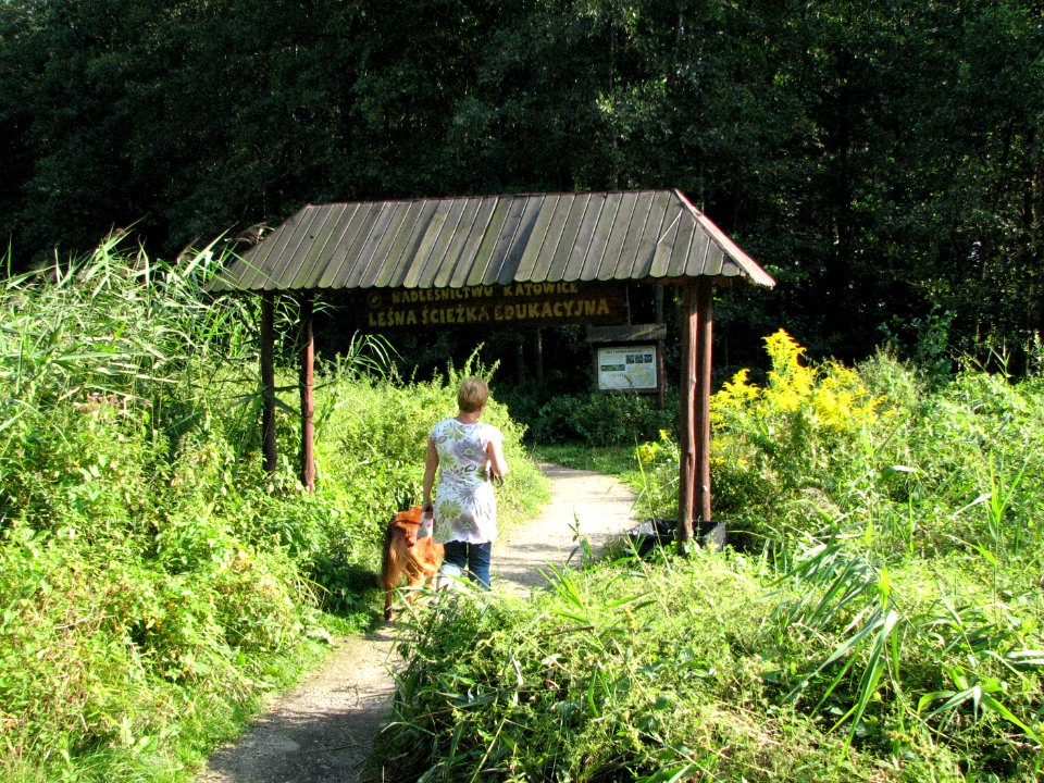 Panewniki on the river Klodnica 2011 11