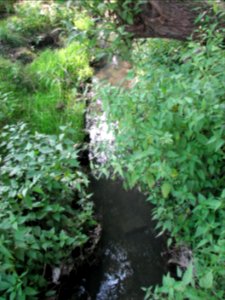 Panewniki on the river Klodnica 2011 13