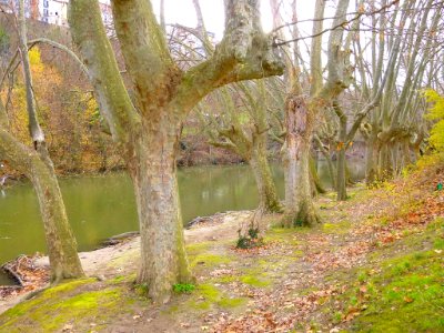 Pamplona - Río Arga 08