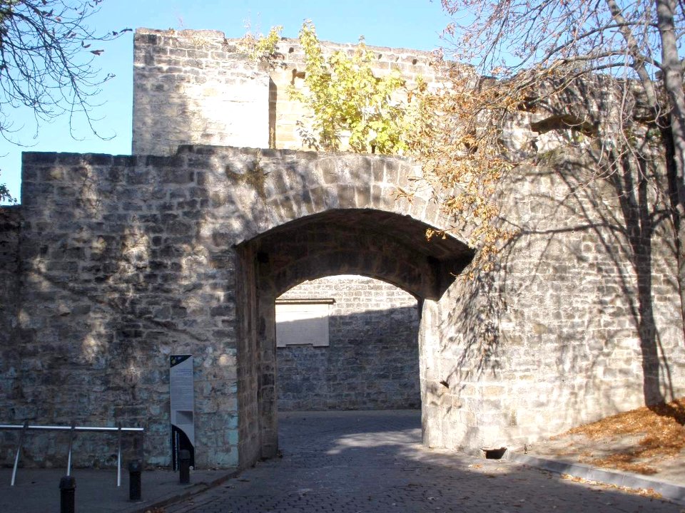 Pamplona - Portal de Francia 5