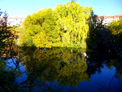 Pamplona - Río Arga 07