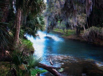 Tropical oil painting river