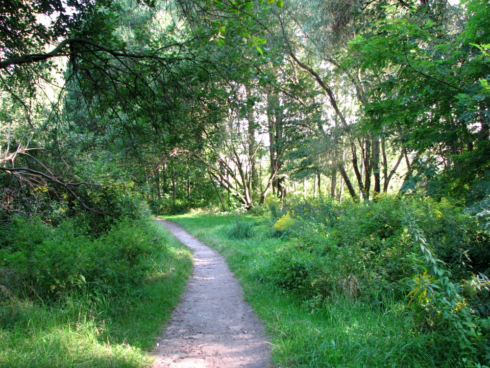 Panewniki on the river Klodnica 2011 07