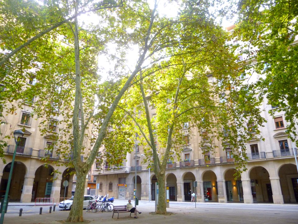 Pamplona - Plaza de la Libertad 08
